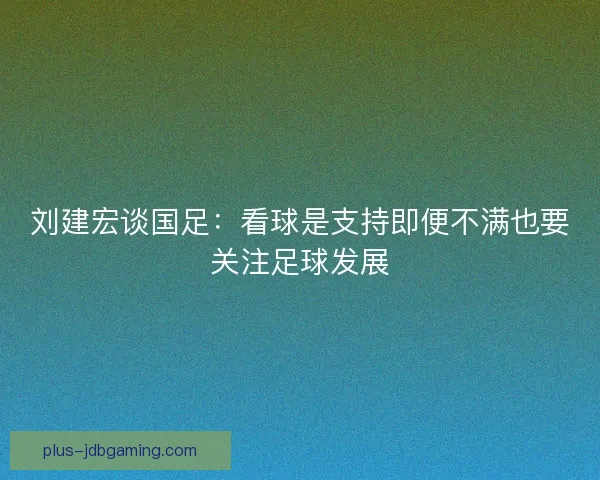 刘建宏谈国足:看球是支持即便不满也要关注足球发展 刘建宏谈国足:看球是支持即便不满也要关注足球发展