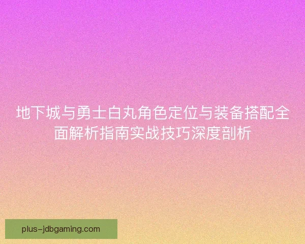 地下城与勇士白丸角色定位与装备搭配全面解析指南实战技巧深度剖析
